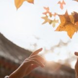 ジョジョを貫くテーマ「人間讃歌」とは何か？意味は？【各部のボスとの対比で考える】